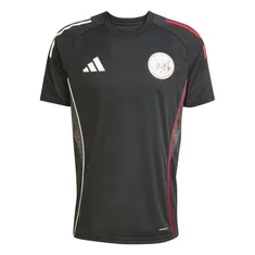 Adidas Ajax Shirt