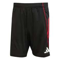 Adidas Ajax Short