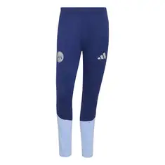 Adidas Ajax Training Pant
