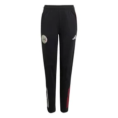 Adidas Ajax Trainingsbroek Jr
