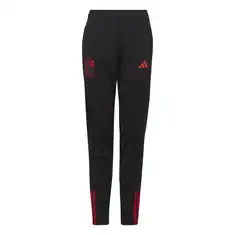 Adidas België Trainingsbroek Junior 2022