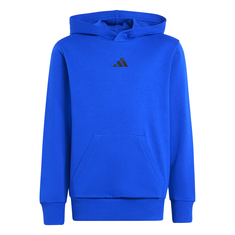 Adidas Hoodie 225 Jr