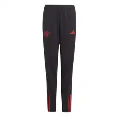 Adidas Manchester United Training Pant Y