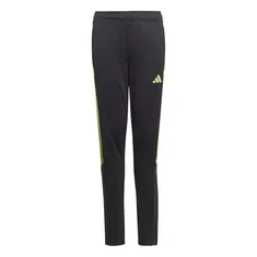 Adidas tiro 23 Training Pant Y