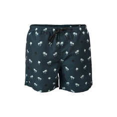 Brunotti Roshan Men Swim Shorts