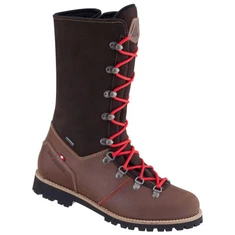 DACHSTEIN 140 Alpenkonigin GTX Wmn