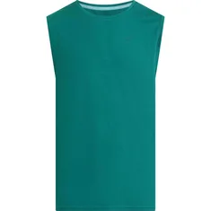 Energetics Stefan Singlet