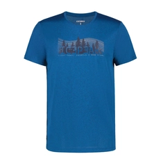 Icepeak Bearden