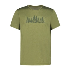 Icepeak Bearden