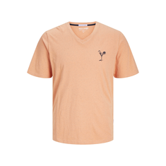 Jack & Jones Jorpalm V-Neck tshirt