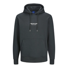 Jack & Jones Jorvesterbro Hoody