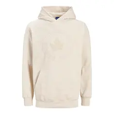 Jack & Jones Riverside Sweat Hooded