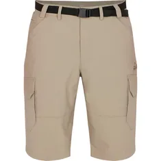 McKinley Allentown III Short