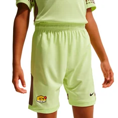Nike Academy25 Short