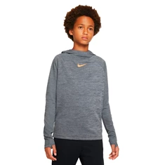 Nike Dri-fit Academy Hooded Junior
