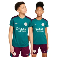 Nike Paris Gaint Germain Strike Top Jr