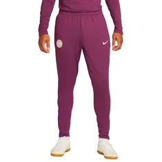 Nike Paris Saint Germain Strike Pant