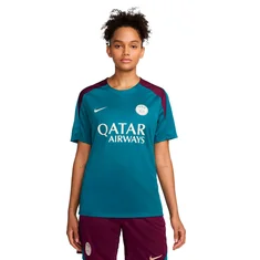 Nike Paris Saint Germain Strike Shirt
