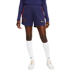 Nike Paris Saint-Germain Strike W Short