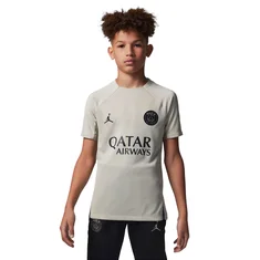 Nike Paris Saint Germain Striker ss Top