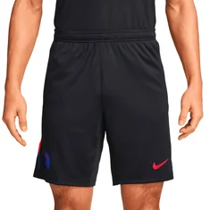 Nike Paris Saint Germain Training Short