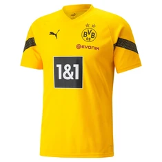 Puma BVB Training Shirt