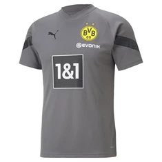 Puma BVB Training Shirt