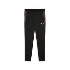 Puma Individual Final Training Pants