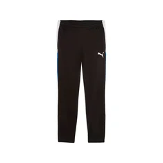 Puma Individualliga Training Pants