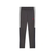 Puma Individualliga Training Pants