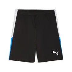 Puma Individualliga Training Shorts 2