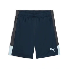 Puma Individualliga Training Shorts