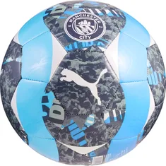 Puma Manchester City Prematch Bal