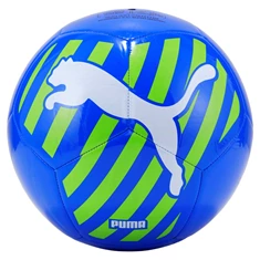 Puma puma big cat ball