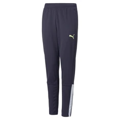 Puma Teamliga Training Jogger Junior