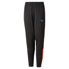 Puma teamliga training pants jr