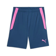 Puma Teamliga Training Short 2 M