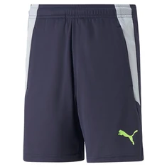 Puma Teamliga Training Short Junior