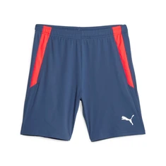 Puma Teamliga training short