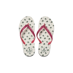 Reef Stargazer Junior