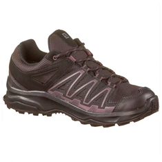 Salomon Leonis GTX