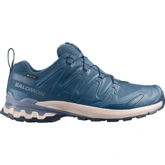 Salomon XA Pro 3D V9 GTX