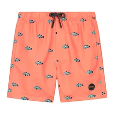 Shiwi Clownfish Zwemshort