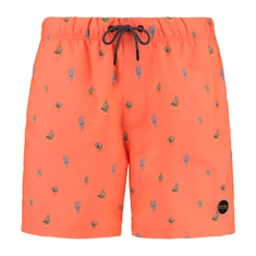 Shiwi Oasis Micro Zwemshort