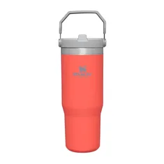 Stanley The Iceflow Flip Standard Tumbler