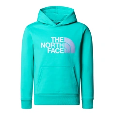 The North Face Drew Peak Hoodie