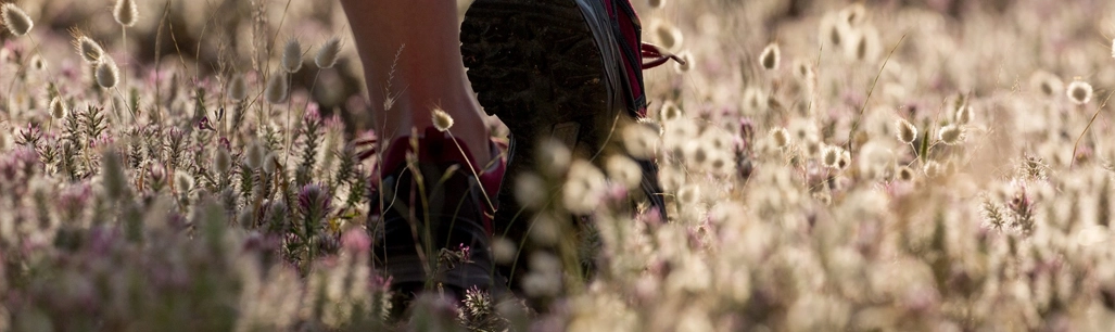 Wandelschoenen kopen voor de Nijmeegse vierdaagse Nieuws Over