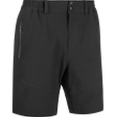 WHISTLER Avian Short